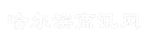 哈尔滨商讯网